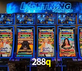 Flash Promotion 288q